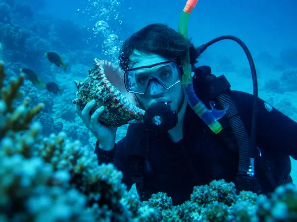 Diver submerged in blue water